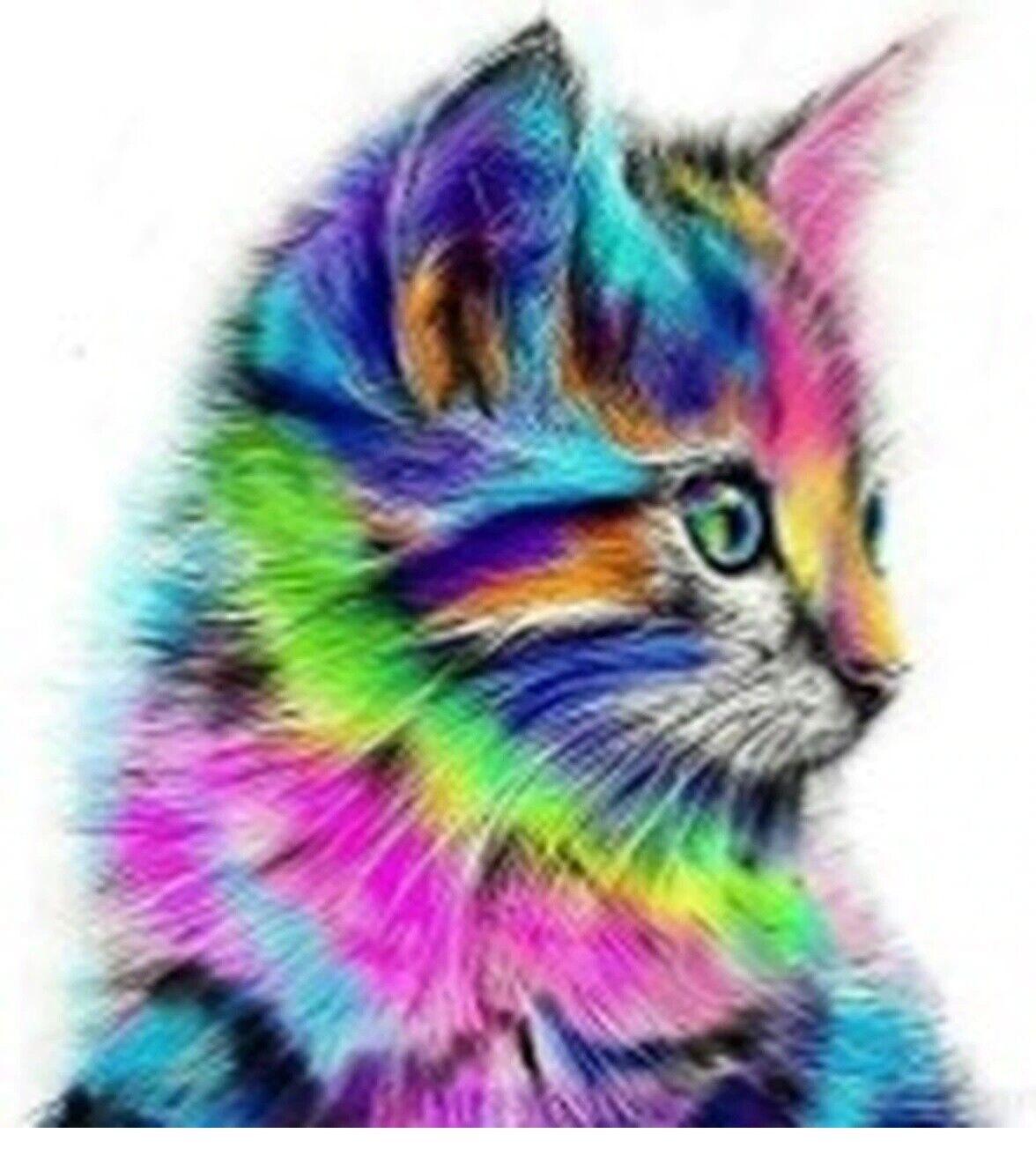 Diamond Art Collection Rainbow Cat Painting kit