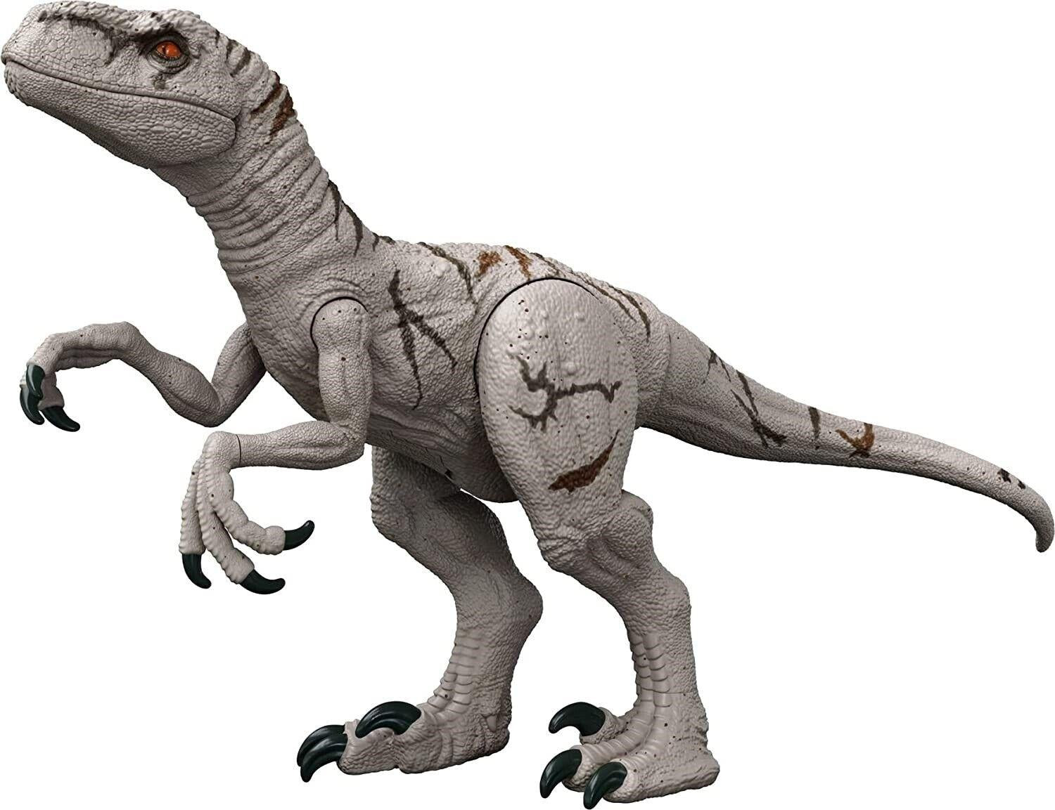 Jurassic World Dominion Large- Dark grey Atrociraptor-Dinsoaur Toy Super Colossal Rex Dino Fun