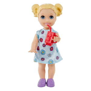 Barbie Careers Teacher Playset with 2 Dolls, Desk, Laptop, Turtle & More