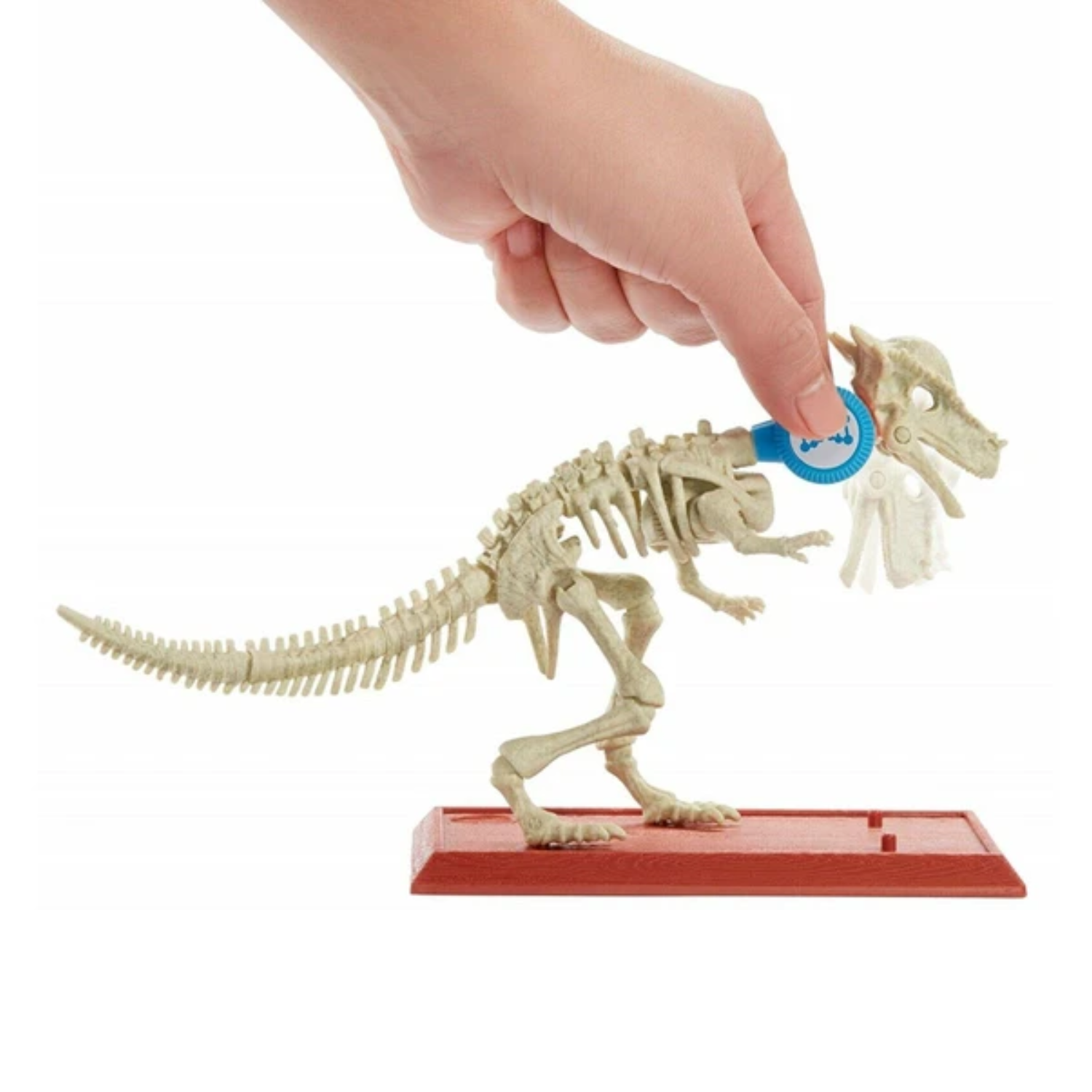 Jurassic World Stem Fossil Strikers Stygimoloch for Ages 6+