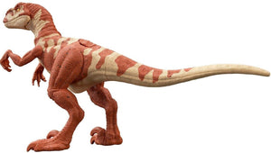 Jurassic World Dominion Ferocious Pack Atrociraptor Action figure for Ages 3+