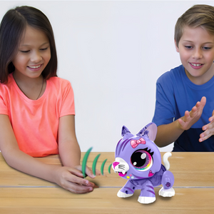 Build A Bot Kitten Interactive DIY Robotics Toy STEM Learning Ages 4 to 7
