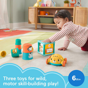 Fisher-Price Baby Gift Set Stacking Cups Roly Poly Push Car Fine Motor Sensory