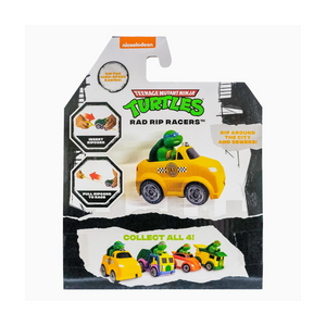 Teenage Mutant Ninja Turtles TMNT Leonardo Rad Rip Racers Car New Toy