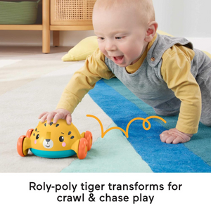 Fisher-Price Baby Gift Set Stacking Cups Roly Poly Push Car Fine Motor Sensory