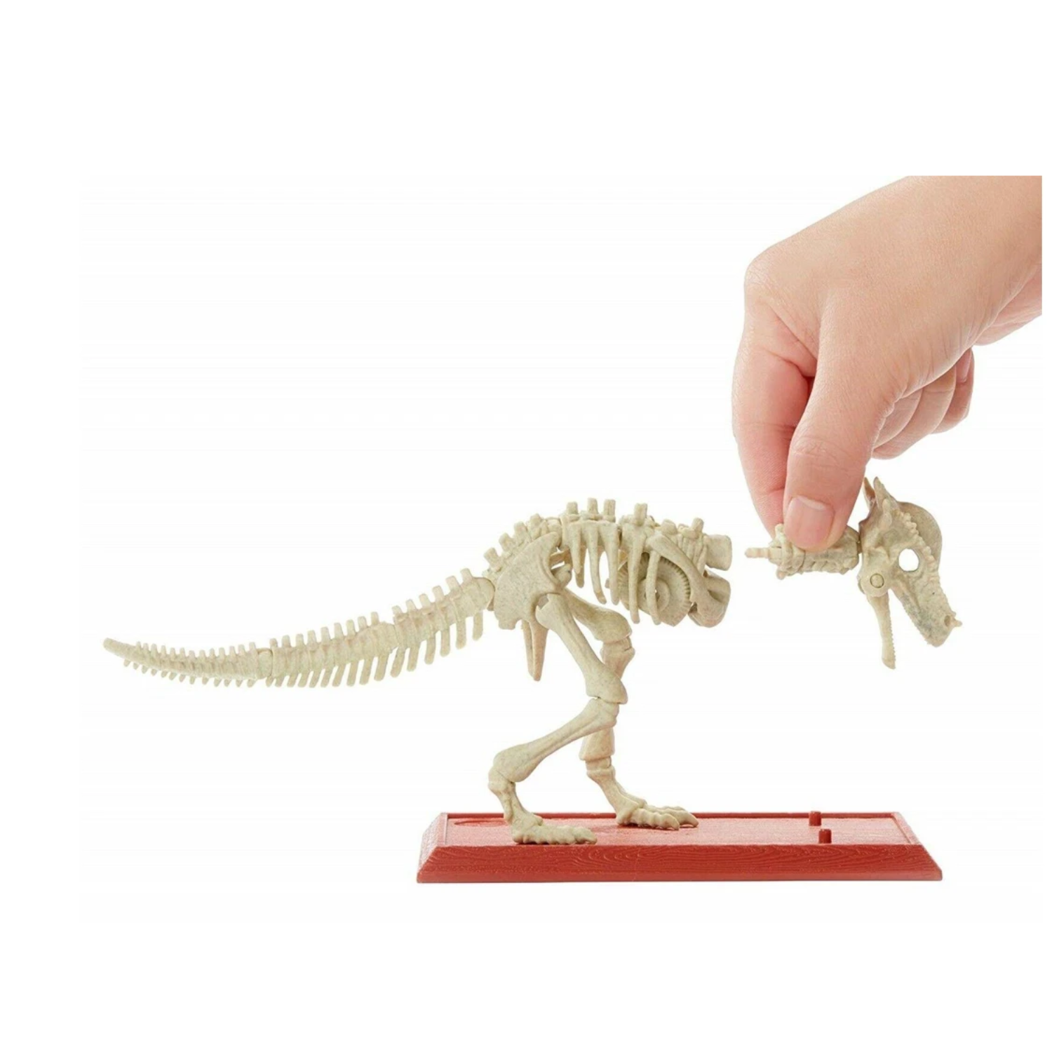 Jurassic World Stem Fossil Strikers Stygimoloch for Ages 6+